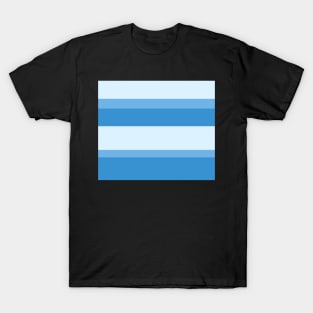 Strips - blue. T-Shirt